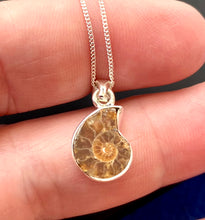 Load image into Gallery viewer, AMMONITE PENDANT
