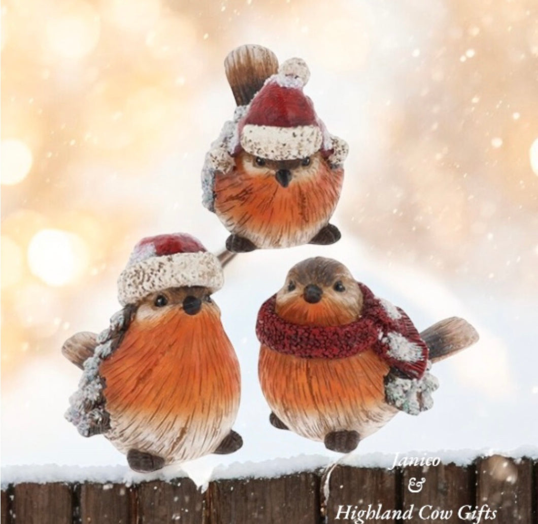 FESTIVE ROBIN FAMILY