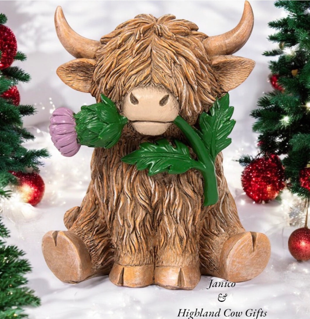HAPPY HIGHLAND COW with THISTLE