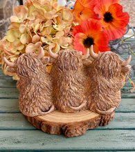 Load image into Gallery viewer, HUGHIE HIGHLAND COW TRIO
