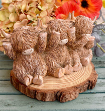 Load image into Gallery viewer, HUGHIE HIGHLAND COW TRIO
