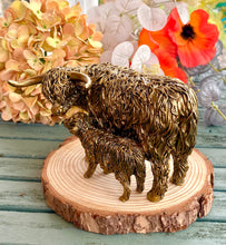 Load image into Gallery viewer, HIGHLAND COO &amp; CALF
