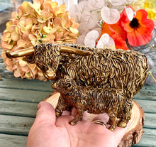 Load image into Gallery viewer, HIGHLAND COO &amp; CALF
