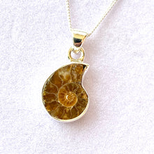 Load image into Gallery viewer, AMMONITE  PENDANT
