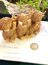 Load and play video in Gallery viewer, HUGHIE HIGHLAND COW TRIO
