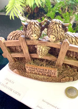 Load and play video in Gallery viewer, HIGHLAND COWS TOGETHER
