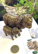 Load and play video in Gallery viewer, BRONZE HIGHLAND COW (Medium)
