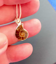 Load and play video in Gallery viewer, AMMONITE  PENDANT

